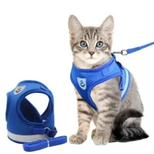 Harnais pour chat réglable, respirant et lumineux