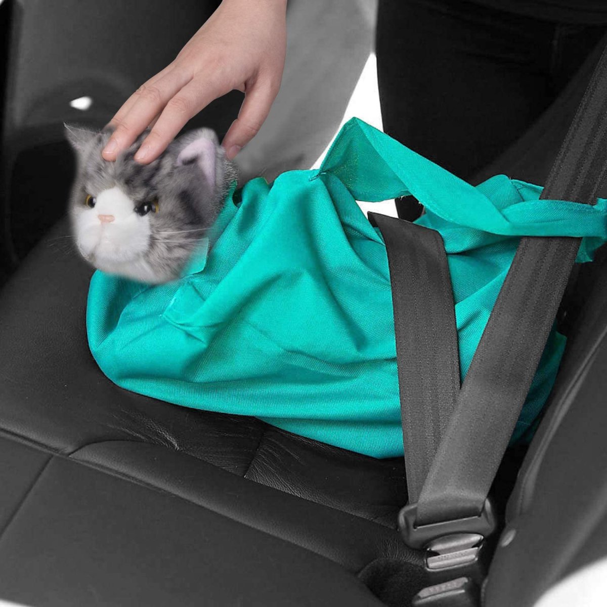 Sac de transport multifonctionnel pour animaux de compagnie – Image 7
