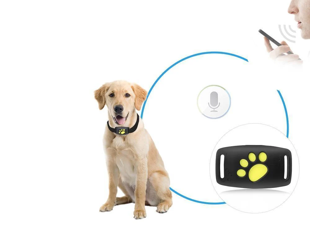 PAWTRACK MINI - Traceur GPS compact pour chats avec suivi de la localisation en temps réel – Image 5