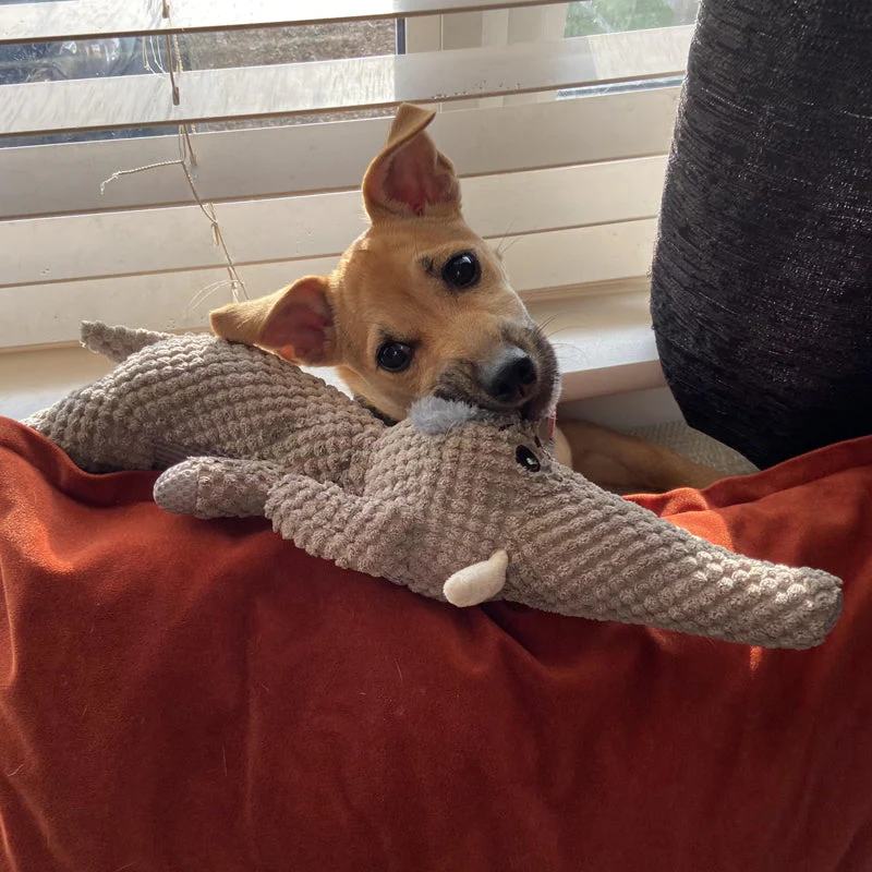 Jouet pour chien extra fort pour les mâcheurs agressifs - Durable et sûr – Image 5