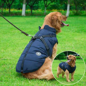Veste d'hiver pour chiens